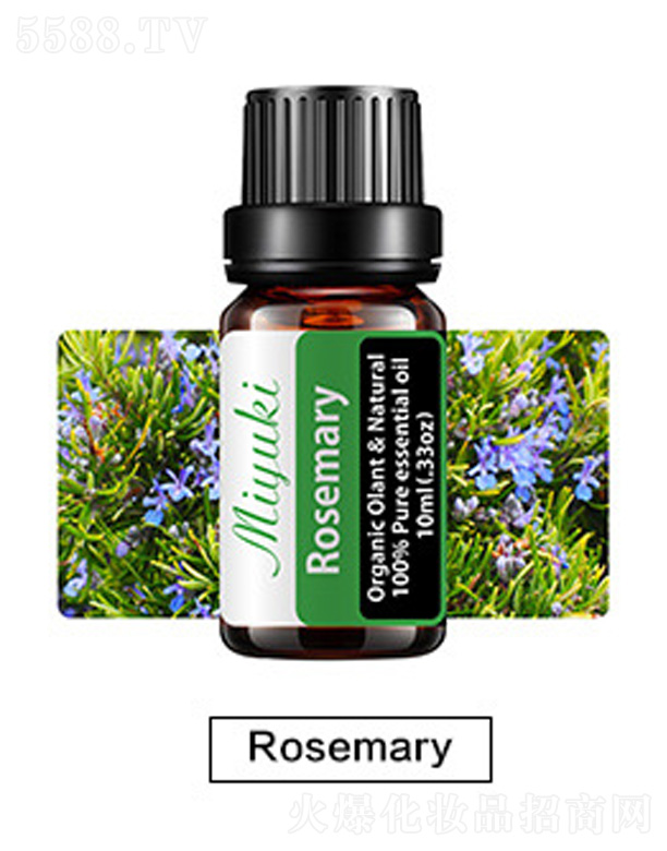 V׋IƼ޹˾o(h)w޹Ħ-Rosemary_˹