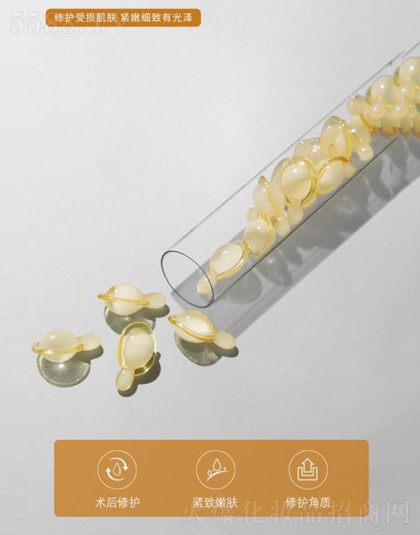 �ʼΊy�@�� �������z��