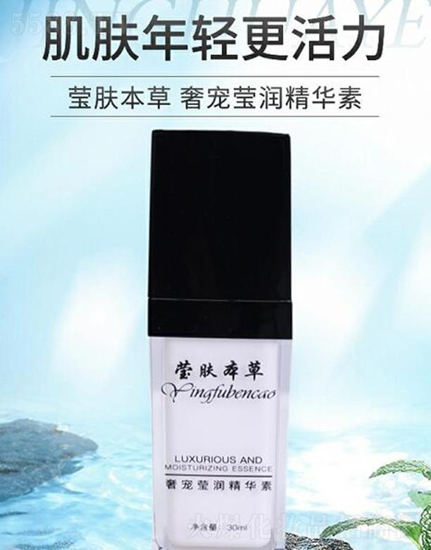 ���w�����݌�����(r��n)���A��