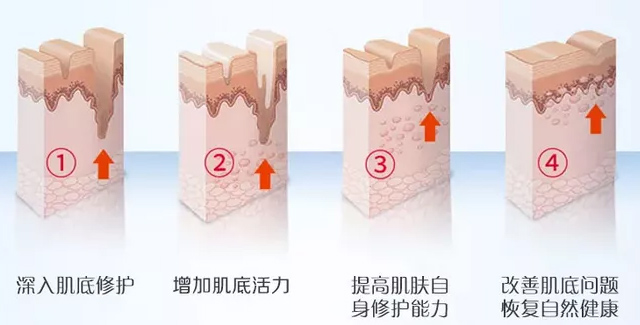 膚士綺寡肽蝦青素修護(hù)凍干粉+寡肽蝦青素修護(hù)溶酶液