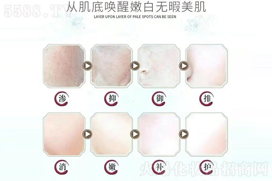 專注問(wèn)題肌膚修護(hù)
