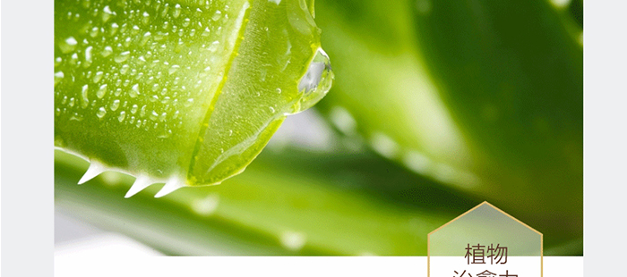 貝爾薇詩活性麥盧卡補水修復(fù)精華